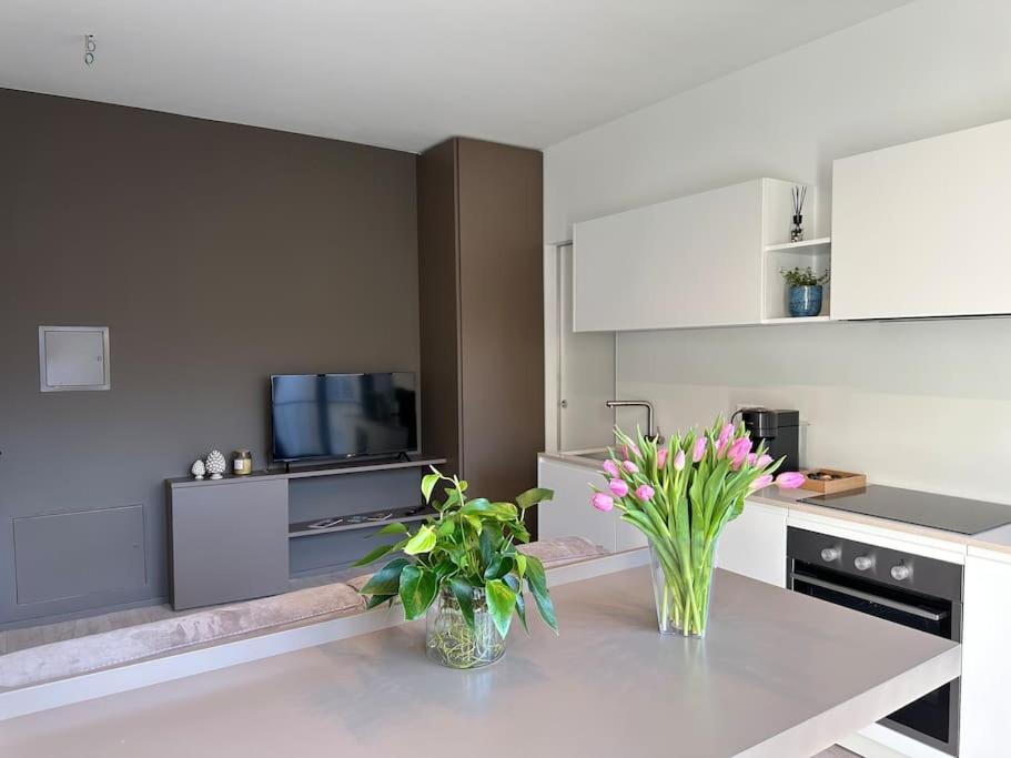 Riva 17 Apartman Lugano Kültér fotó